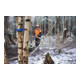 Stihl Taille-haie sur perche HTA 150 sans batterie ni chargeur, version forestière