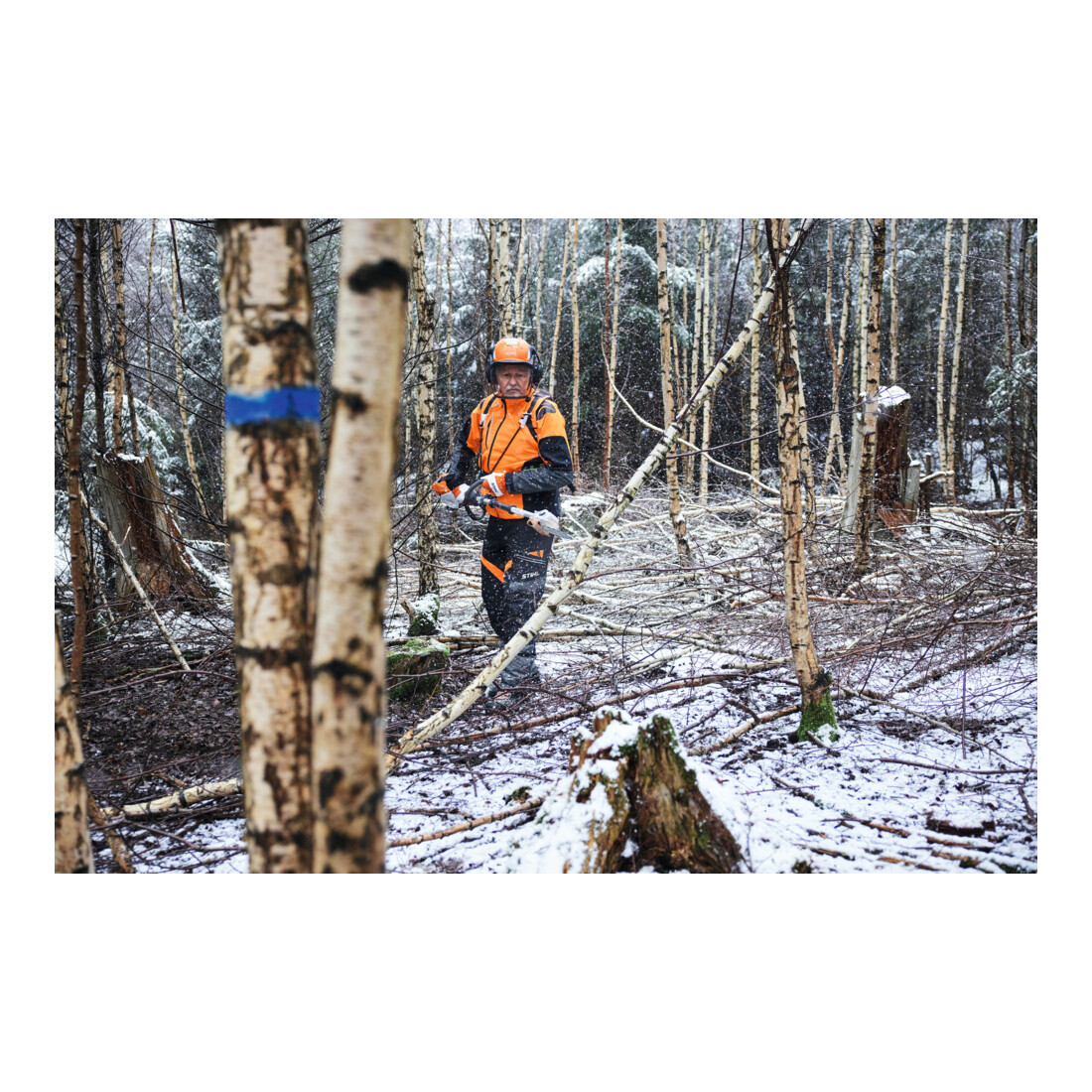 Stihl Taille-haie sur perche HTA 150 sans batterie ni chargeur, version forestière