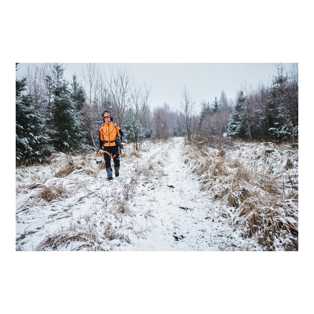Stihl Taille-haie sur perche HTA 150 sans batterie ni chargeur, version forestière