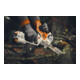 Stihl Taille-haies sans fil GTA 40, Set avec 2 x AS 2, AL 5-2 et mallette