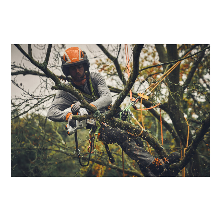 Stihl Taille-haies sans fil GTA 40, Set avec 2 x AS 2, AL 5-2 et mallette