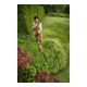 Stihl Taille-haies sans fil HLA 40-5