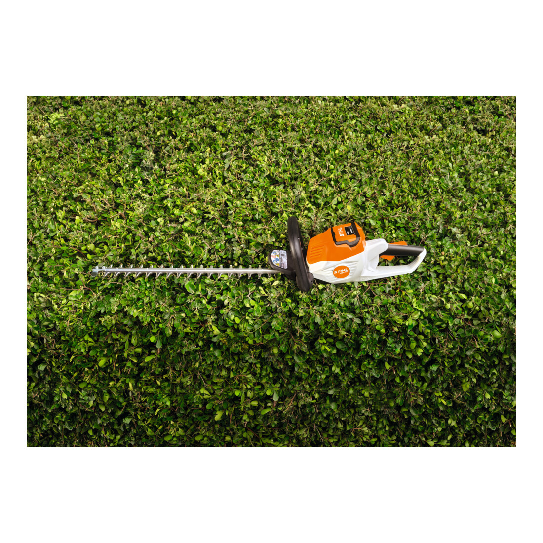 STIHL Taille-haies sans fil HSA 50, sans batterie ni chargeur
