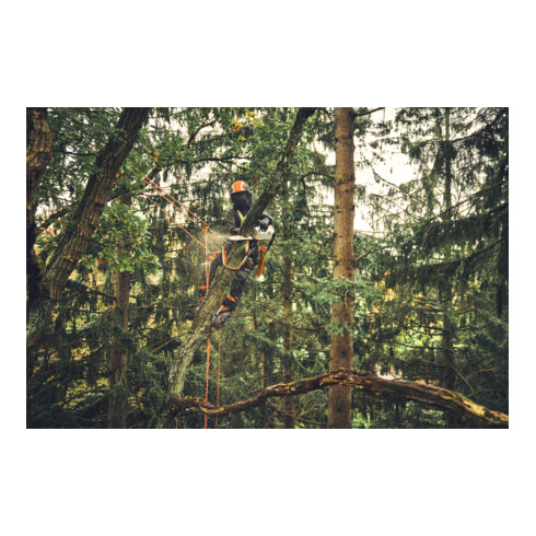 Stihl Tronçonneuse à batterie MSA 220 TC-O, PS3 Pro, longueur de guide 35 cm