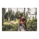 Stihl Tronçonneuse à essence MS 400 C-M, RS, longueur de guide 40 cm