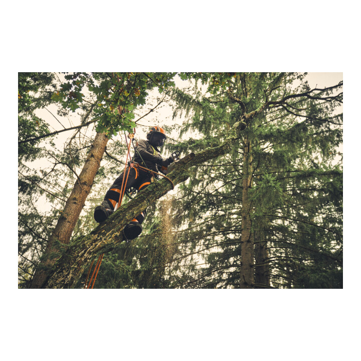 Stihl Tronçonneuse électrique MSA 220 T, PS3 Pro, longueur de guide 30 cm