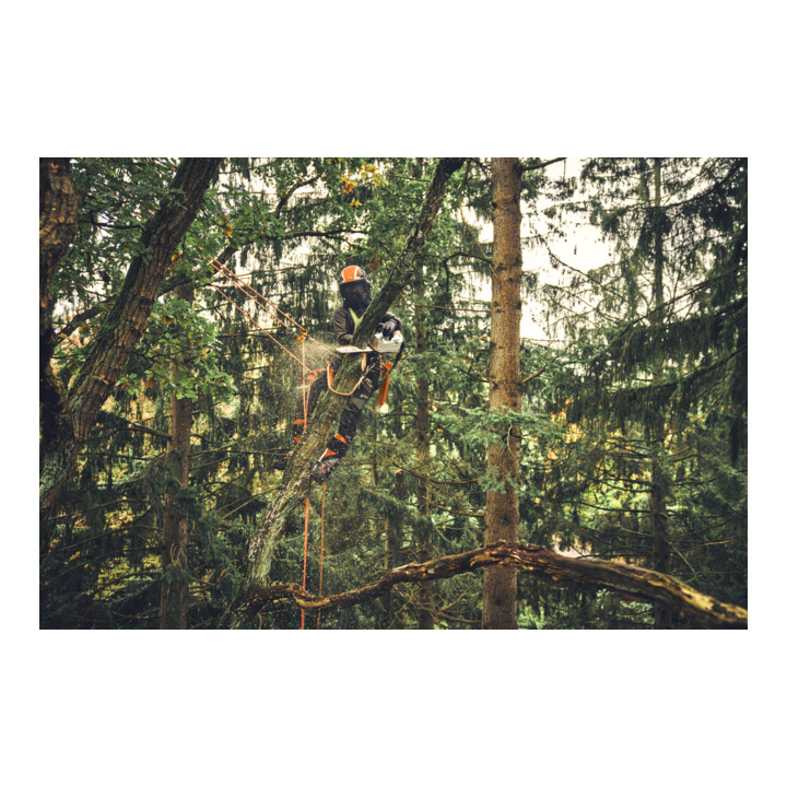Stihl Tronçonneuse électrique MSA 220 T, PS3 Pro, longueur de guide 30 cm