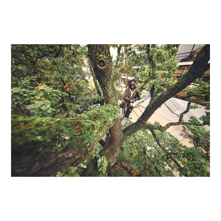 Stihl Tronçonneuse électrique MSA 220 T, PS3 Pro, longueur de guide 30 cm