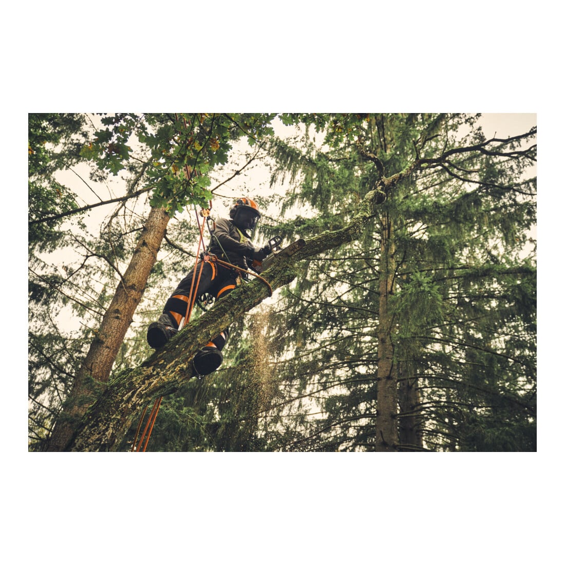 Stihl Tronçonneuse électrique MSA 220 T, PS3 Pro, longueur de guide 35 cm