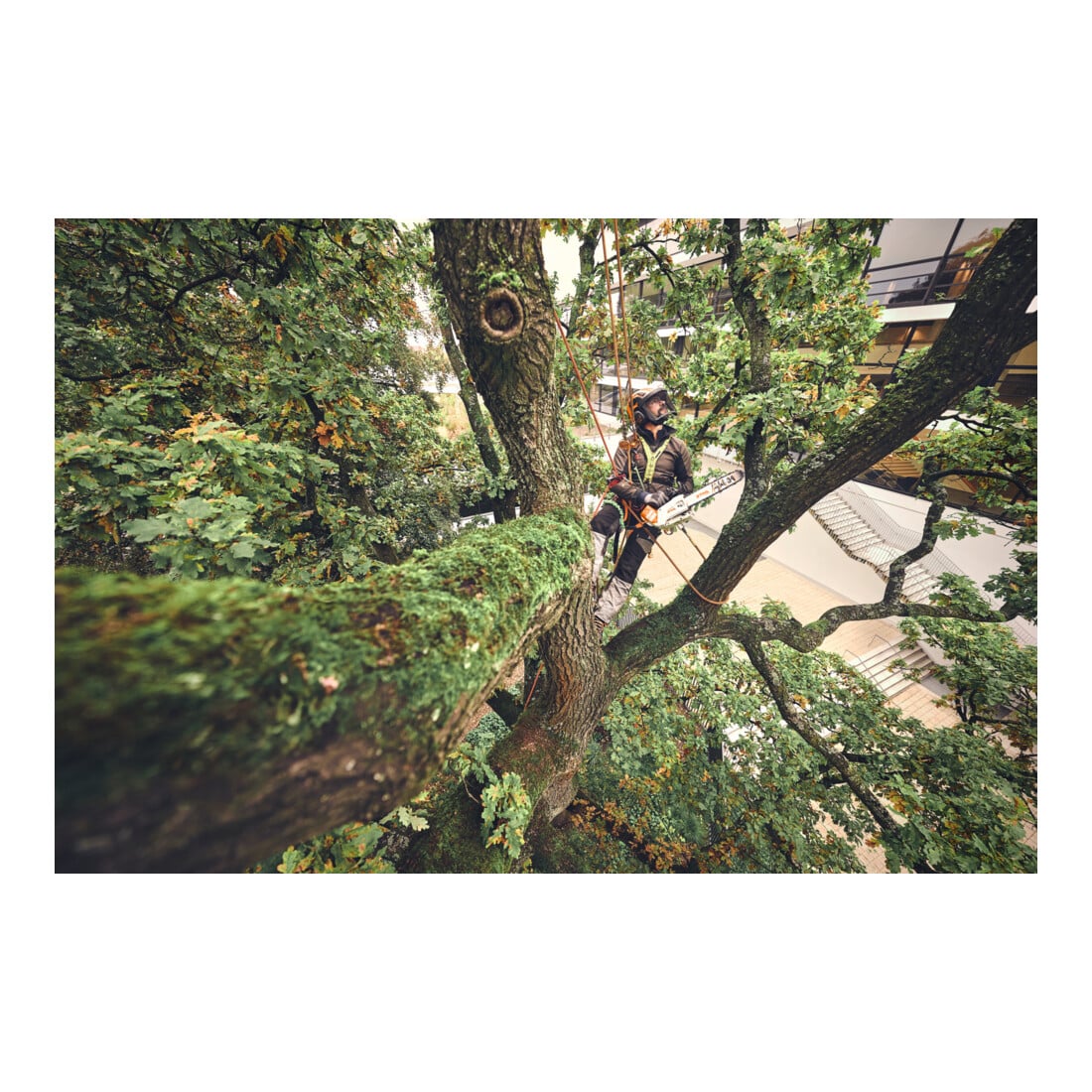 Stihl Tronçonneuse électrique MSA 220 T, PS3 Pro, longueur de guide 35 cm