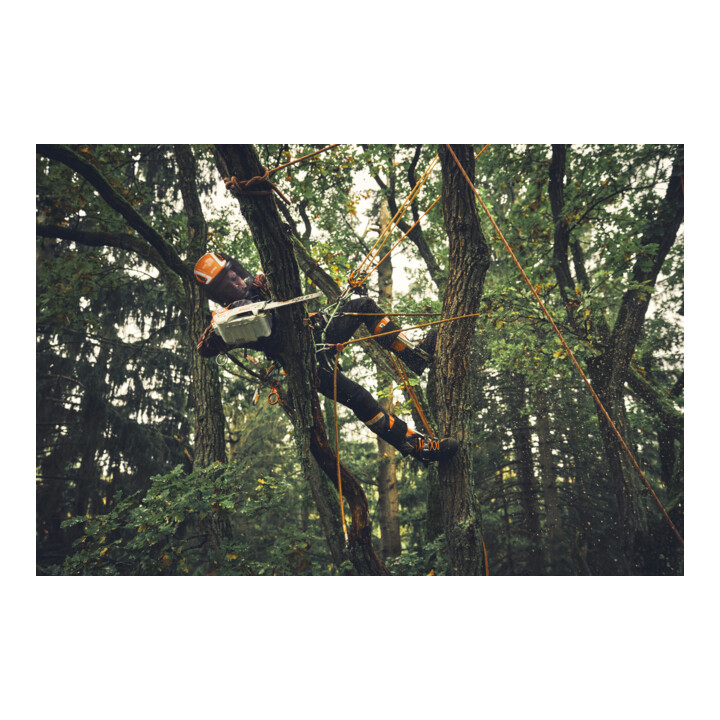 Stihl Tronçonneuse sans fil MSA 190 T, 1/4", PM3, longueur de guide 30 cm