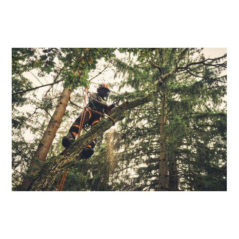 Stihl Tronçonneuse sans fil MSA 220 TC-O, PS3 Pro, longueur de guide 30 cm