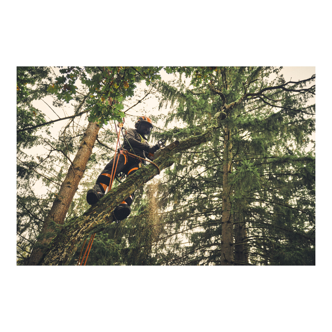Stihl Tronçonneuse sans fil MSA 220 TC-O, PS3 Pro, longueur de guide 30 cm