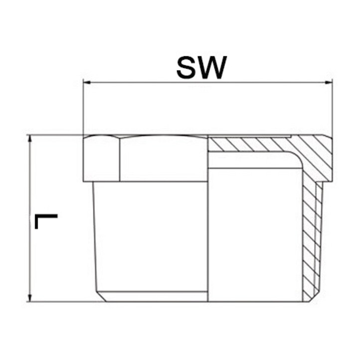 Stopfen EN 10226-1 NPS=2 Zoll 8-kant L 32,5mm SPRINGER
