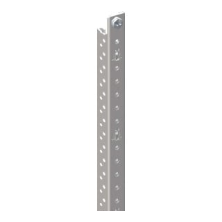 Striebel&John Rail de profil ED13