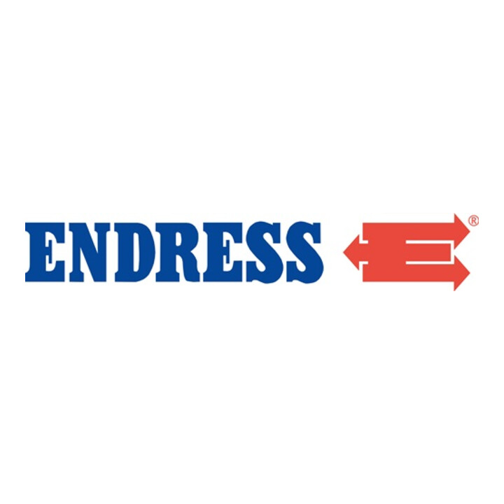 Stromerzeuger ESE 6000 DBS 6,25 kVA,5 kW Benzin ENDRESS