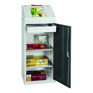 Stumpf Armoire environnementale et armoire pour substances dangereuses colonne 180 × 50 × 50 cm gris clair/bleu gentiane
