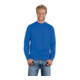 Sweatshirt homme 80/20 taille XXL royal PROMODORO-3