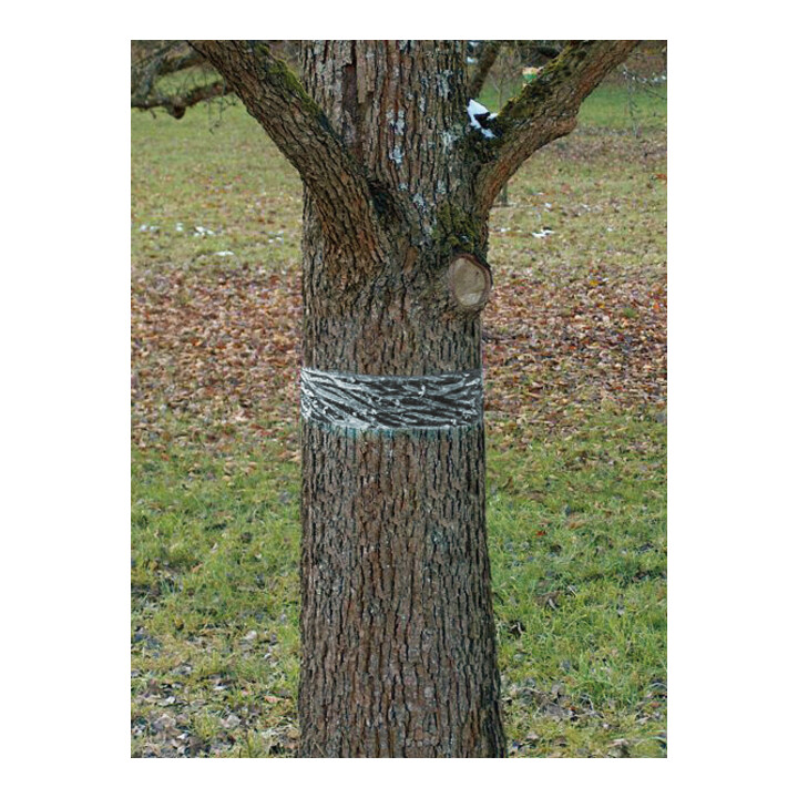 SWISSINNO Anneau colle à chenilles et fourmis 5x5cm Natural Control Solution