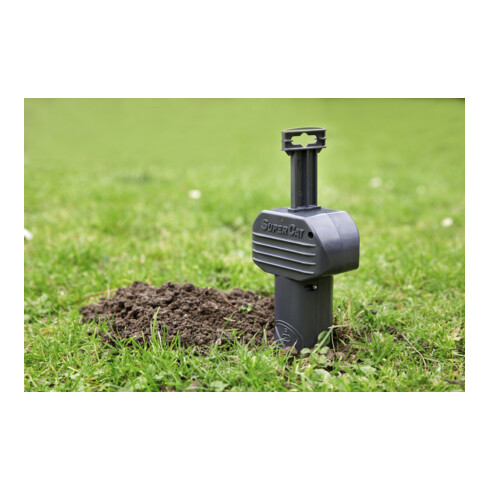 SWISSINNO Piège à campagnols SuperCat Solution sans set d’accessoires