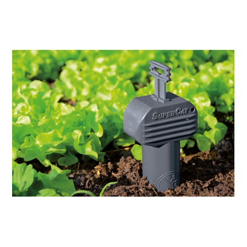 SWISSINNO Piège à campagnols SuperCat Solution sans set d’accessoires