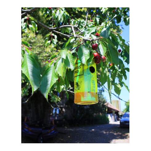 SWISSINNO Piège à guêpes avec appât Solution