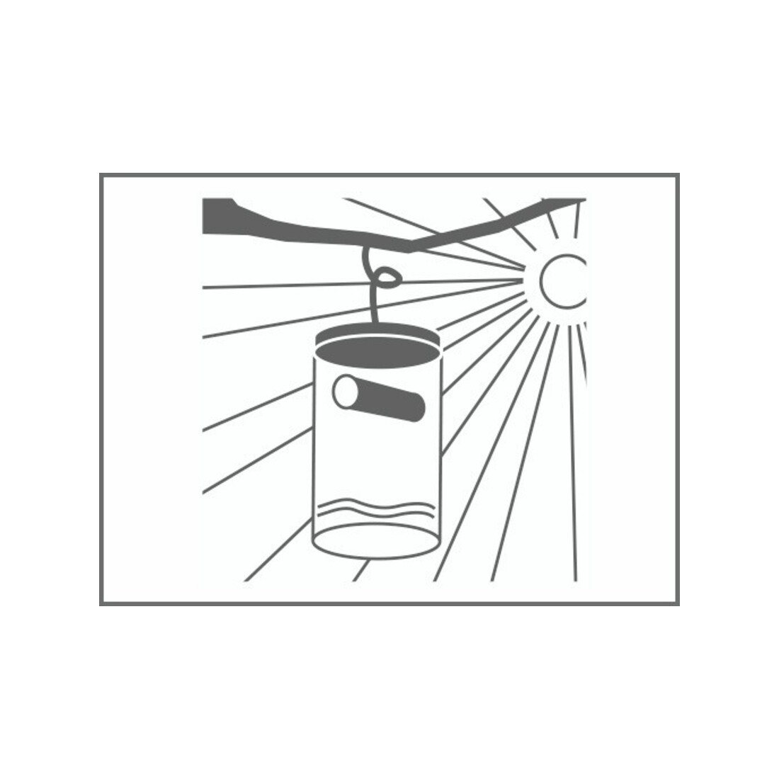 SWISSINNO Piège à guêpes avec appât Solution
