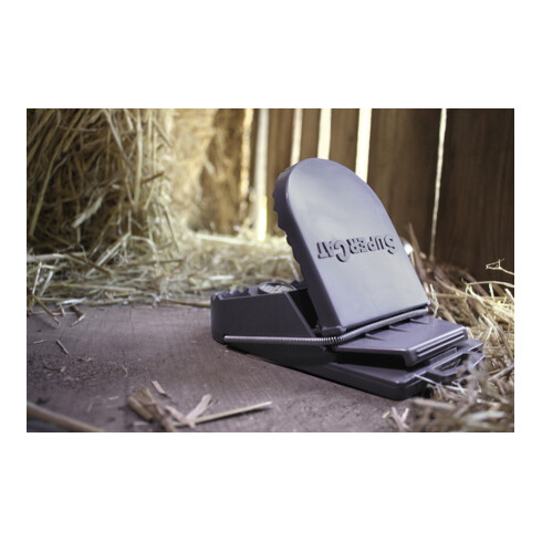 SWISSINNO Piège à rats Supercat avec appât Solution