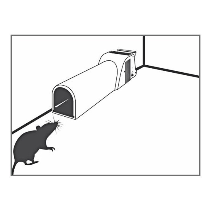 SWISSINNO Piège à souris NoSeeNoTouch avec appât SuperCat Solution