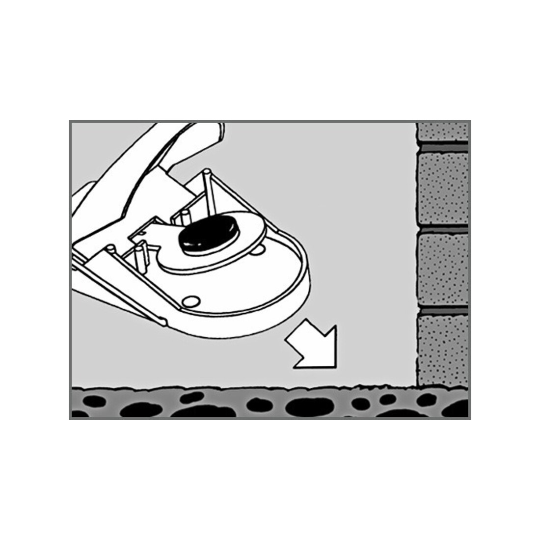 SWISSINNO Piège à souris Supercat lot de 2 avec appât Solution