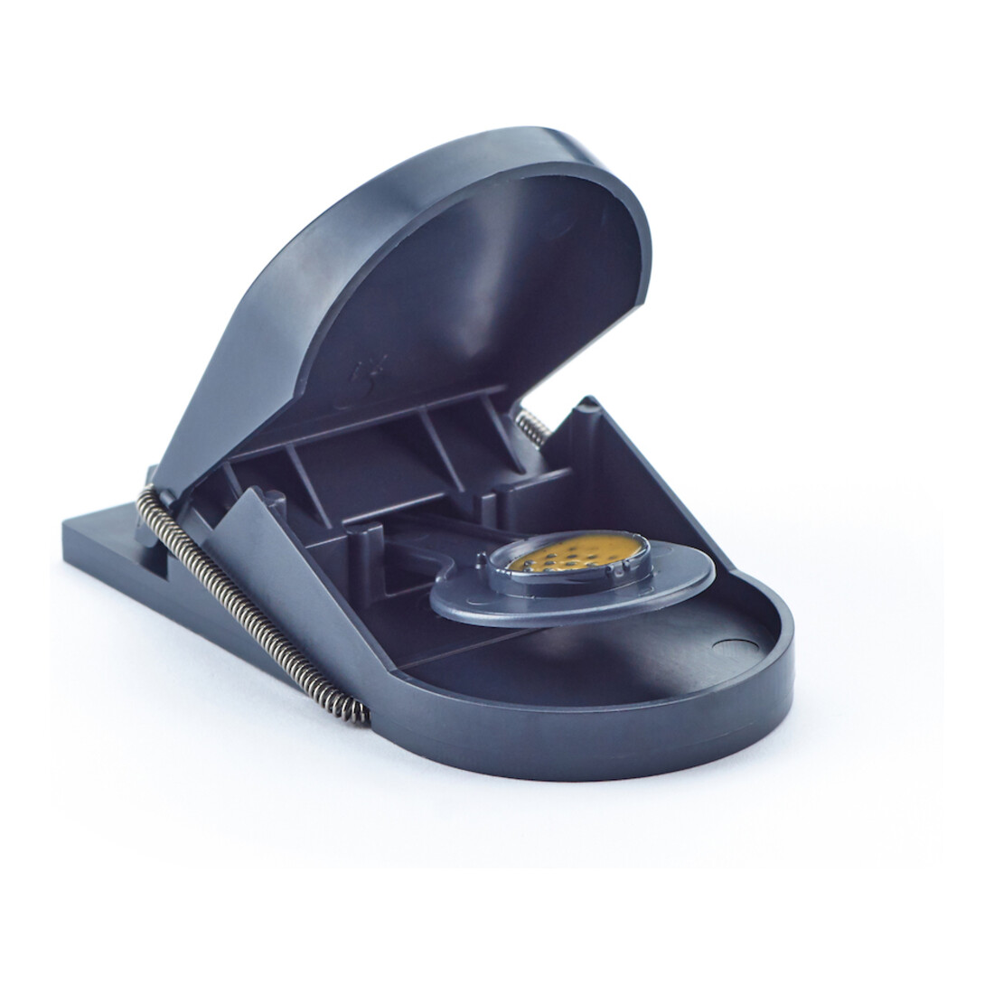 SWISSINNO Piège à souris Supercat lot de 2 avec appât Solution