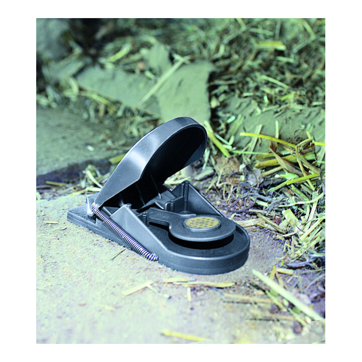 SWISSINNO Piège à souris Supercat lot de 2 avec appât Solution