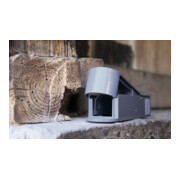 SWISSINNO Piège vivant maison à souris avec appât SuperCat Solution-4