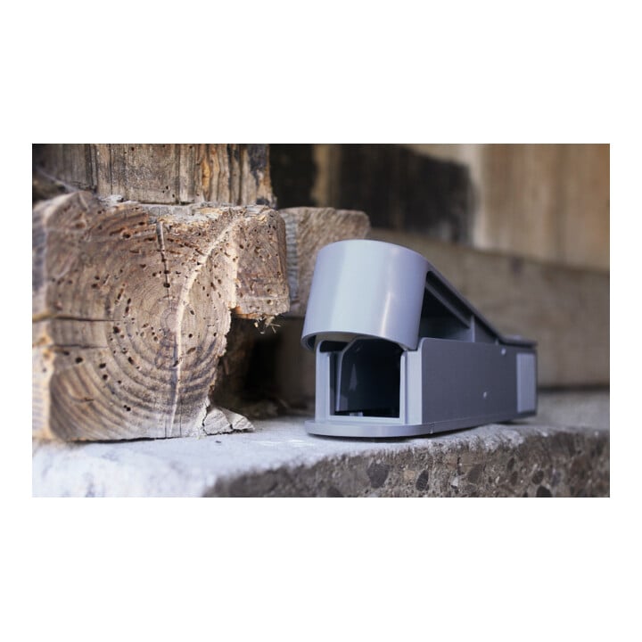 SWISSINNO Piège vivant maison à souris avec appât SuperCat Solution