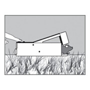 SWISSINNO Piège vivant maison à souris avec appât SuperCat Solution-5