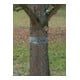 SWISSINNO Raupen-u.Ameisenleimring 5x5cm Natural Control Solution-5