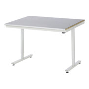RAU Table de travail adlatus 150 réglable en hauteur électriquement Plateau de travail avec revêtement en tôle d'acier 750 mm x 800 mm