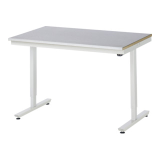 RAU Table de travail adlatus 150 réglable en hauteur électriquement Plateau de travail avec revêtement en tôle d'acier 750 mm x 800 mm