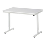 Table de travail adlatus RAU 150 réglable en hauteur électriquement Plateau de travail EGB avec revêtement en résine de mélamine (conducteur de volume) 1250 mm x 800 mm