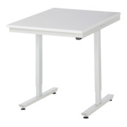 RAU Table de travail adlatus 150 réglable en hauteur électriquement Plateau de travail EGB avec revêtement en résine de mélamine (conducteur de volume)