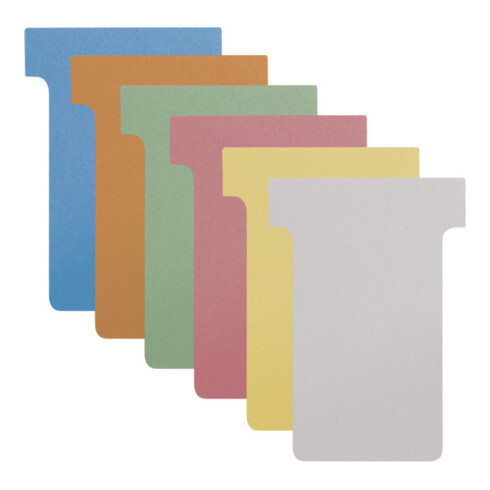 Tableau T-Card Eichner S20 R5 (20 casiers, 5 rangées)