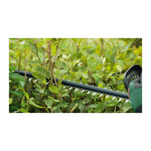 Taille-haie à batterie Bosch UniversalHedgeCut 18V-50