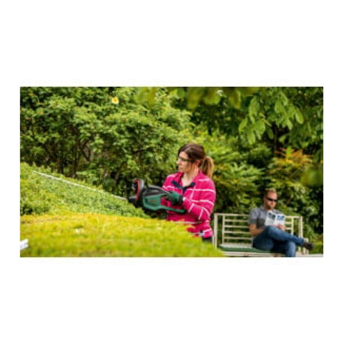 Taille-haies AdvancedHedgeCut 65 Bosch