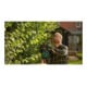 Taille-haies sans fil Bosch AdvancedHedgeCut 36V-6528, version solo