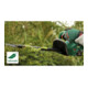Taille-haies sans fil EasyHedgeCut 18-52-13 Bosch