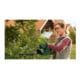 Taille-haies sans fil EasyHedgeCut 18-52-13 Bosch, Solo-2