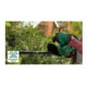 Taille-haies sans fil EasyHedgeCut 18-52-13 Bosch, Solo
