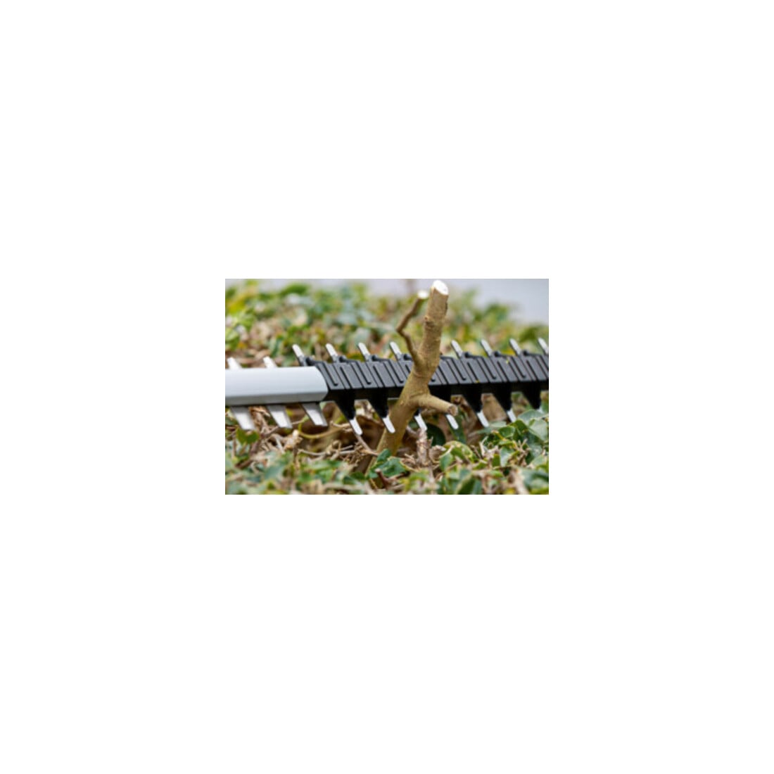 Taille-haies sans fil GHE 18V-60 Bosch