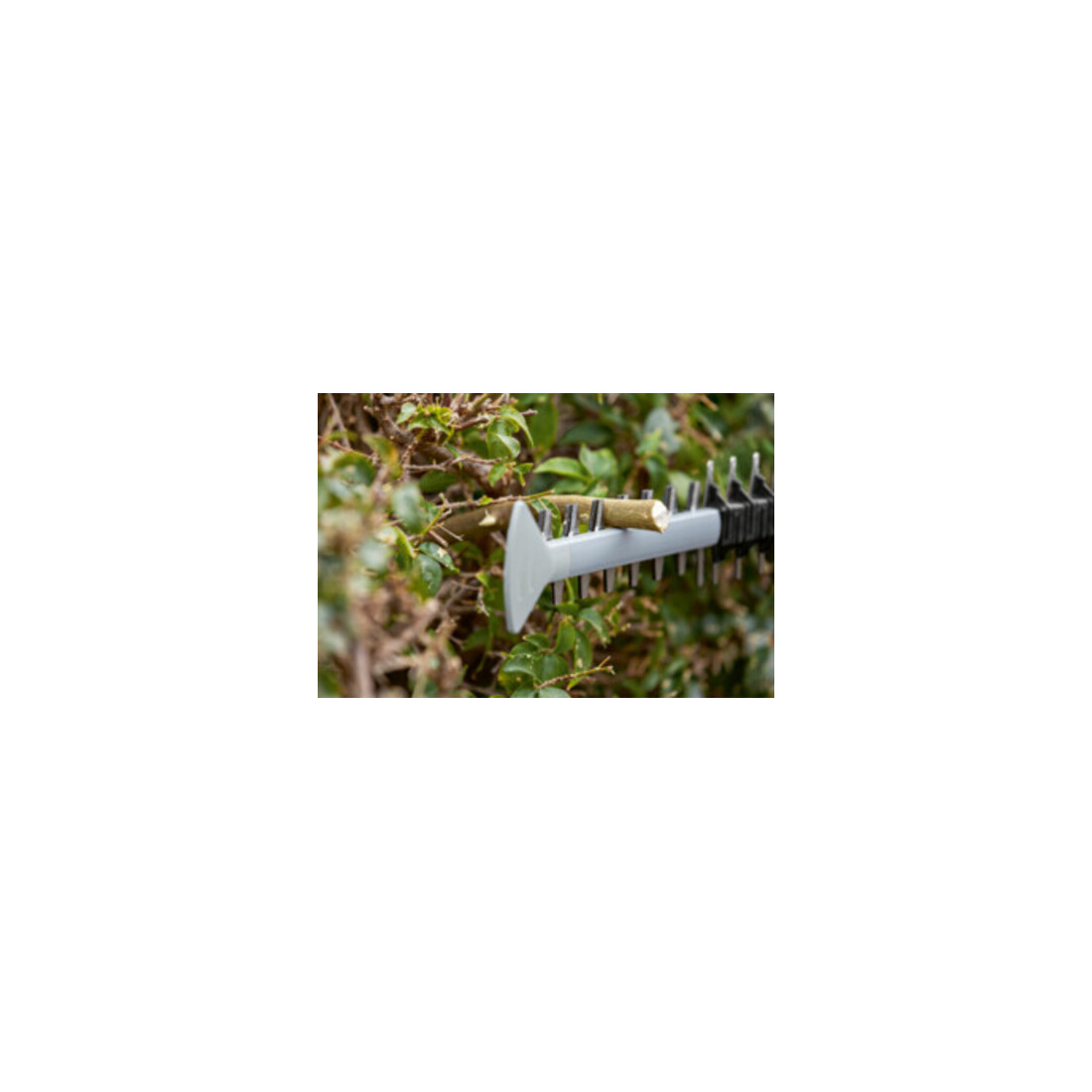 Taille-haies sans fil GHE 18V-60 Bosch
