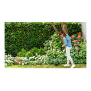 Taille-herbes sans fil Bosch EasyGrassCut 18V-230-4